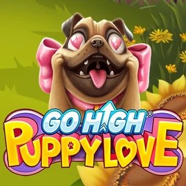Go High Puppy Love game by RubyPlay – logo hosted on Lamabet Casino